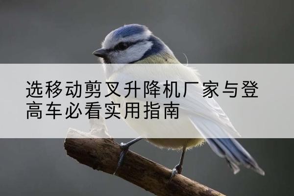 椒江电动升降机厂家-选移动剪叉升降机厂家与登高车必看实用指南
