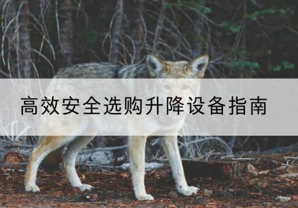 椒江升降货梯厂家推荐-*安全选购升降设备指南