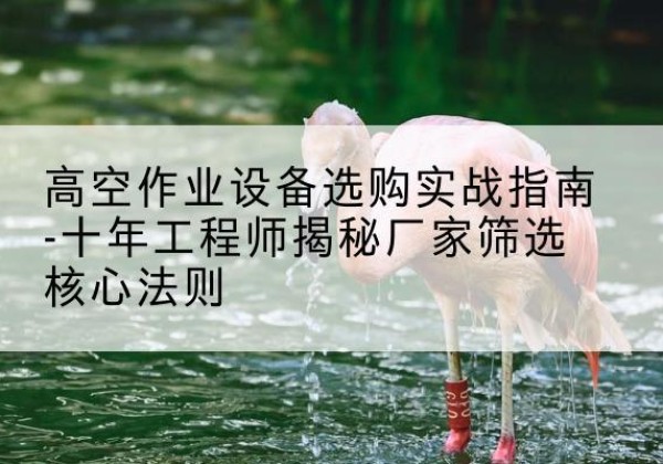椒江剪叉式升降机厂家-高空作业设备选购实战指南-十年工程师揭秘厂家筛选核心法则