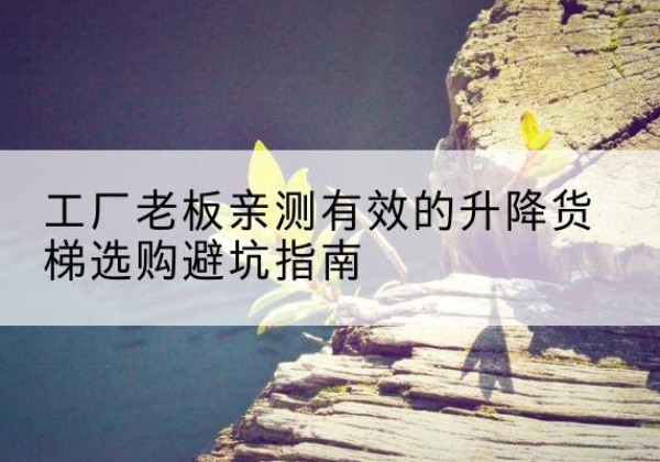 椒江升降货梯怎么选-工厂老板亲测有效的升降货梯选购避坑指南